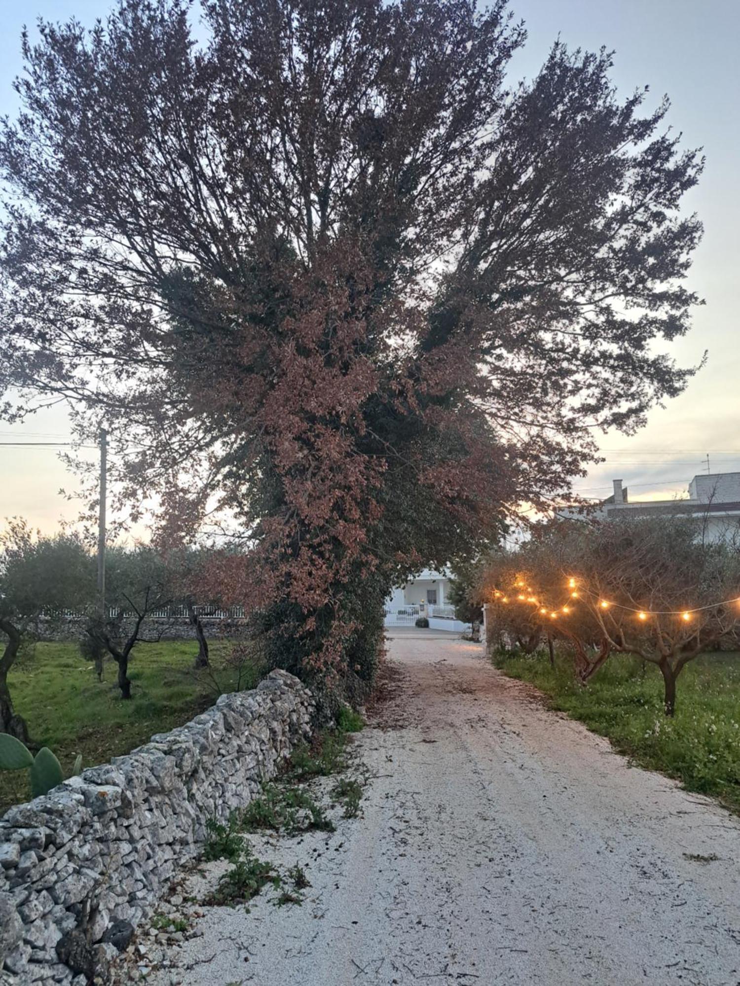 Viale Del Sole - Le Dimore 洛科罗通多 外观 照片
